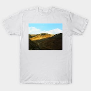 Sicily. Fields XVI. 2011 T-Shirt